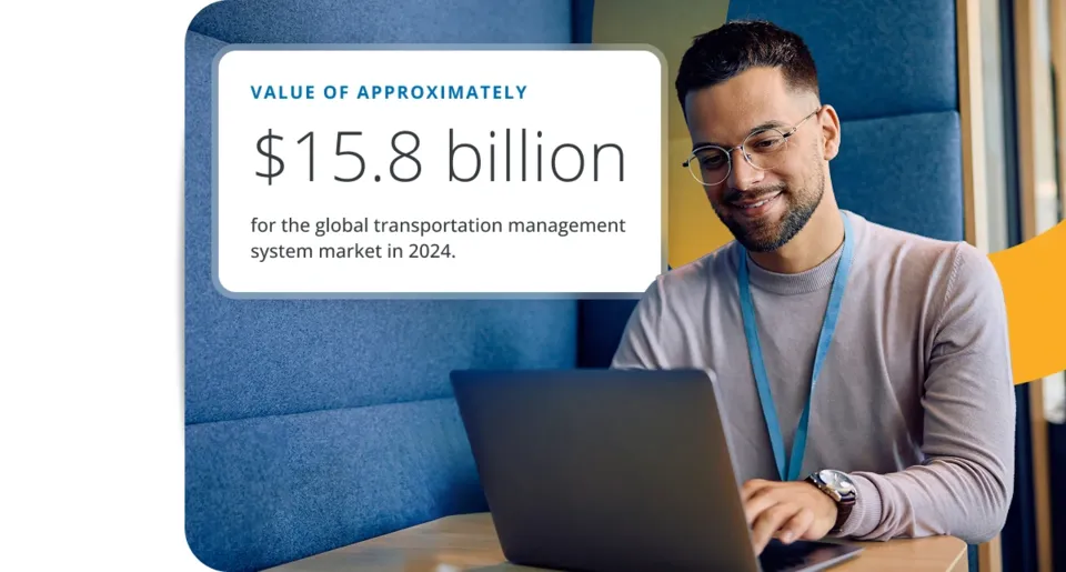 Transportation management system market value graphic with professional using logistics software
