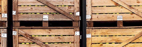 Wholesale distribution and DSD