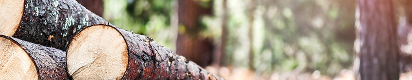 Building supply and lumber