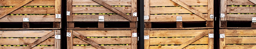 Wholesale distribution and DSD