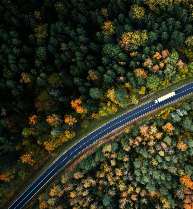 Transportation 