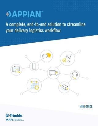 Appian Workflow Mini Guide