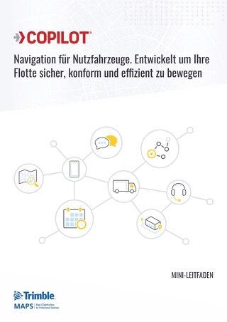 Mini Guide to CoPilot - German