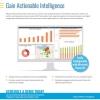Appian Business Intelligence Feature Sheet