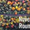 November 2018 Round-Up
