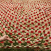 A Day of Gratitude Around the World