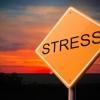 ALK Blog Series - Stress Less